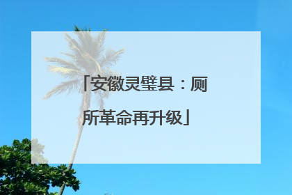 安徽灵璧县：厕所革命再升级