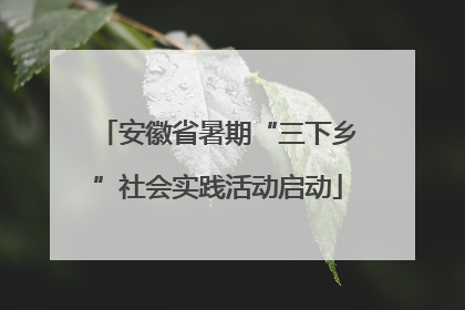 安徽省暑期“三下乡”社会实践活动启动