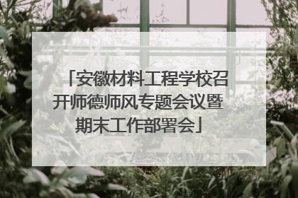 安徽材料工程学校召开师德师风专题会议暨期末工作部署会