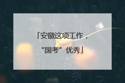 安徽这项工作，“国考”优秀