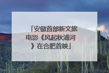 安徽首部新文旅电影《风起秋浦河》在合肥首映