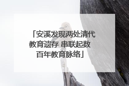 安溪发现两处清代教育遗存 串联起数百年教育脉络