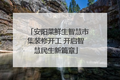 安阳菜鲜生智慧市集装修开工 开启智慧民生新篇章