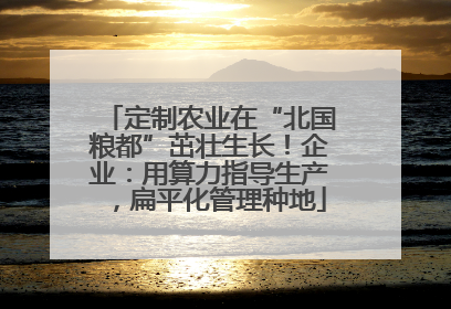 定制农业在“北国粮都”茁壮生长！企业：用算力指导生产，扁平化管理种地