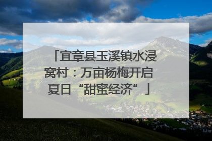 宜章县玉溪镇水浸窝村：万亩杨梅开启夏日“甜蜜经济”