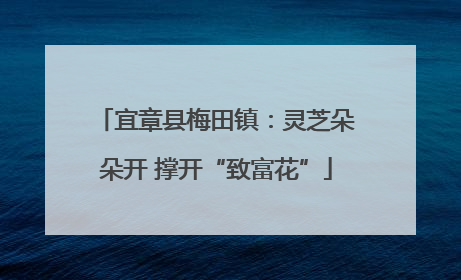宜章县梅田镇：灵芝朵朵开 撑开“致富花”