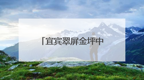 宜宾翠屏金坪中心校学子在第四届青少年书画传习大赛中斩获佳绩