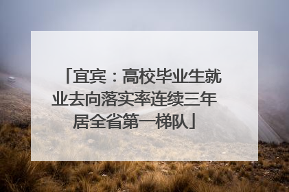 宜宾：高校毕业生就业去向落实率连续三年居全省第一梯队