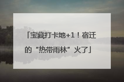 宝藏打卡地+1！宿迁的“热带雨林”火了