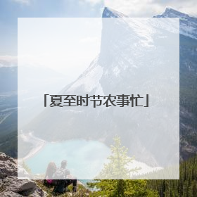 夏至时节农事忙