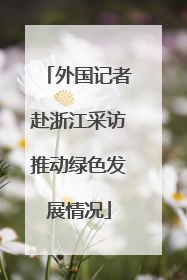 外国记者赴浙江采访推动绿色发展情况