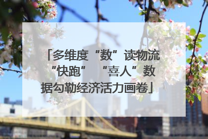 多维度“数”读物流“快跑” “喜人”数据勾勒经济活力画卷