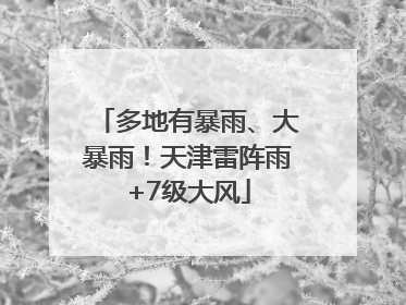 多地有暴雨、大暴雨！天津雷阵雨+7级大风