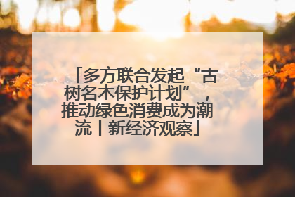 多方联合发起“古树名木保护计划”，推动绿色消费成为潮流丨新经济观察
