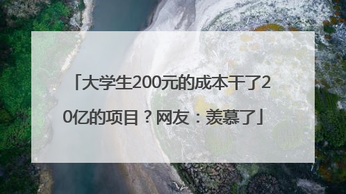 大学生200元的成本干了20亿的项目？网友：羡慕了