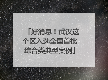 好消息！武汉这个区入选全国首批综合类典型案例