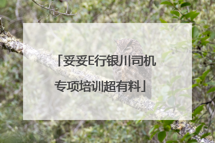 妥妥E行银川司机专项培训超有料