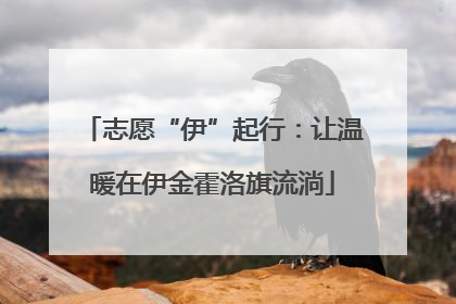 志愿“伊”起行：让温暖在伊金霍洛旗流淌
