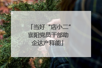 当好“店小二” 襄阳党员干部助企达产释能