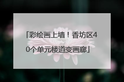 彩绘画上墙！香坊区40个单元楼道变画廊