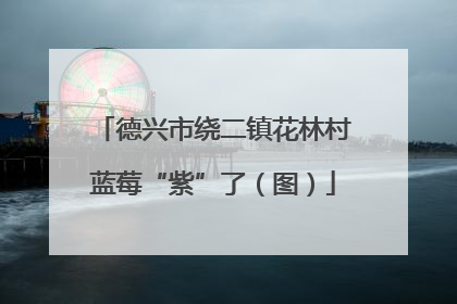 德兴市绕二镇花林村蓝莓“紫”了（图）