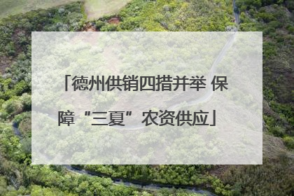 德州供销四措并举 保障“三夏”农资供应