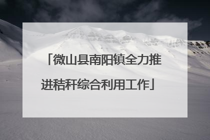 微山县南阳镇全力推进秸秆综合利用工作