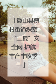 微山县傅村街道织密“三夏”安全网 护航丰产丰收季