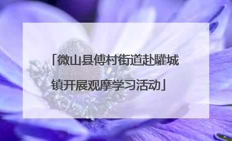 微山县傅村街道赴驩城镇开展观摩学习活动