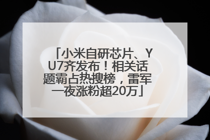小米自研芯片、YU7齐发布！相关话题霸占热搜榜，雷军一夜涨粉超20万
