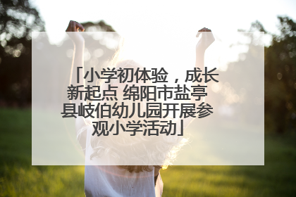 小学初体验，成长新起点 绵阳市盐亭县岐伯幼儿园开展参观小学活动