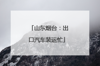 山东烟台：出口汽车装运忙