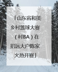 山东省和美乡村篮球大赛（村BA）在招远大户陈家火热开赛