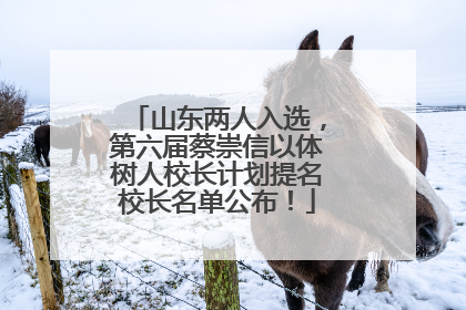 山东两人入选，第六届蔡崇信以体树人校长计划提名校长名单公布！