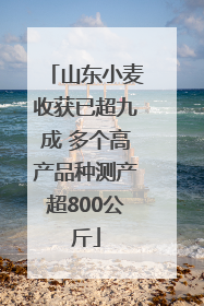 山东小麦收获已超九成 多个高产品种测产超800公斤