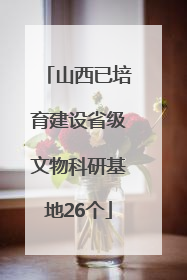 山西已培育建设省级文物科研基地26个