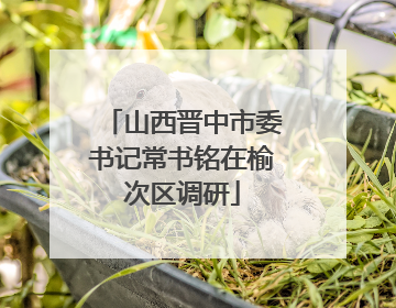 山西晋中市委书记常书铭在榆次区调研