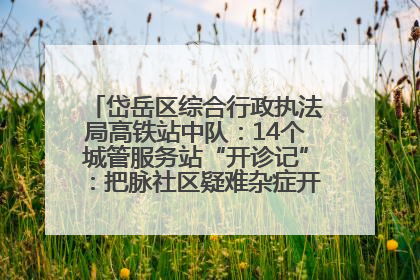 岱岳区综合行政执法局高铁站中队：14个城管服务站“开诊记”：把脉社区疑难杂症开出治理良方