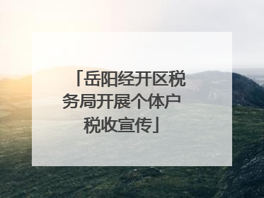 岳阳经开区税务局开展个体户税收宣传