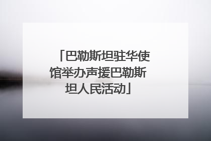 巴勒斯坦驻华使馆举办声援巴勒斯坦人民活动
