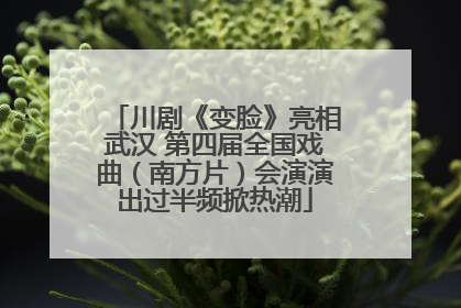 川剧《变脸》亮相武汉 第四届全国戏曲（南方片）会演演出过半频掀热潮