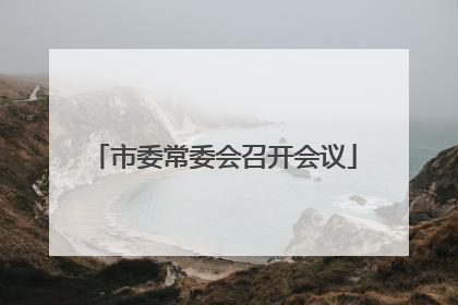 市委常委会召开会议
