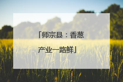师宗县：香葱产业一路鲜