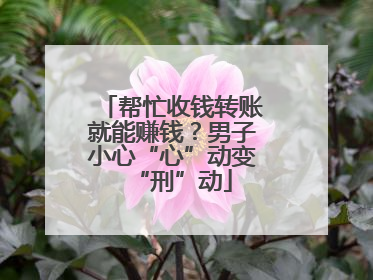 帮忙收钱转账就能赚钱？男子小心“心”动变“刑”动