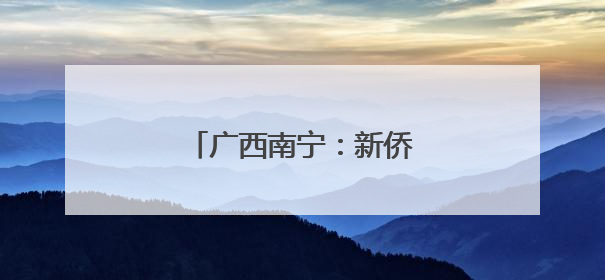 广西南宁：新侨代表共叙端午情