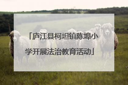 庐江县柯坦镇陈埠小学开展法治教育活动