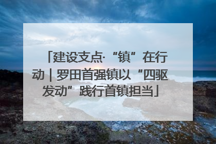 建设支点·“镇”在行动｜罗田首强镇以“四驱发动”践行首镇担当