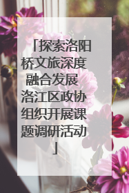 探索洛阳桥文旅深度融合发展 洛江区政协组织开展课题调研活动