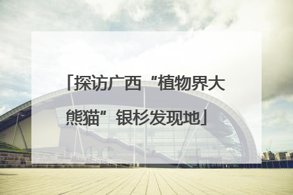 探访广西“植物界大熊猫”银杉发现地