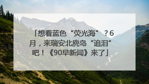 想看蓝色“荧光海”？6月，来瑞安北麂岛“追泪”吧！《90早新闻》来了